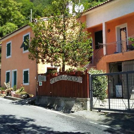 Casa Vacanze L'Agrifoglio Bed and Breakfast Magliolo Eksteriør billede